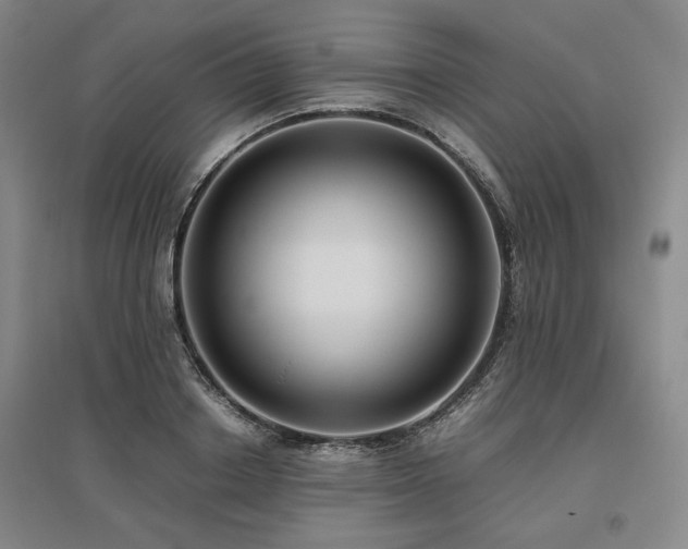 X0000095910842200801111230