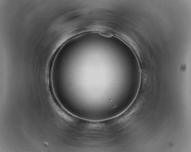 X0000095910843200801111230