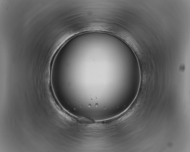 X0000095910844200801111230