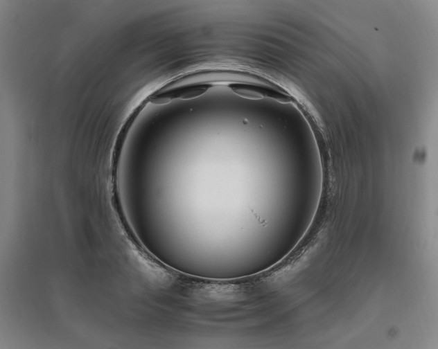 X0000095910845200801111230