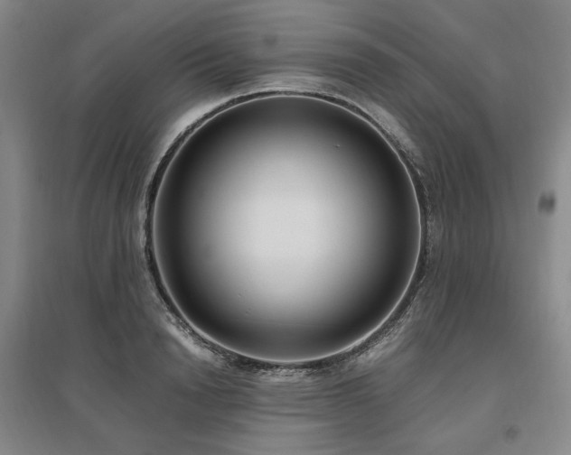 X0000095910846200801111230