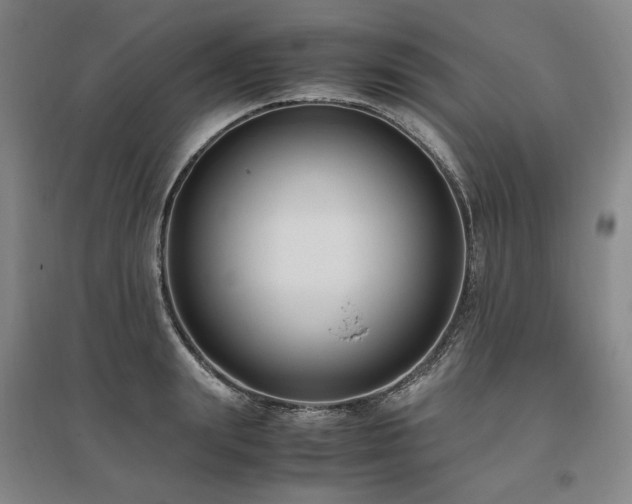 X0000095910847200801111230