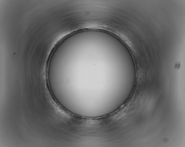 X0000095910848200801111230