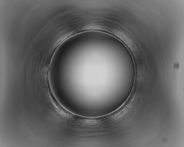 X0000095910849200801111230