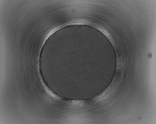 X0000095910850200801111230