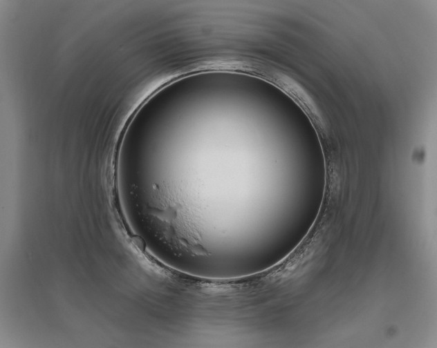 X0000095910852200801111230