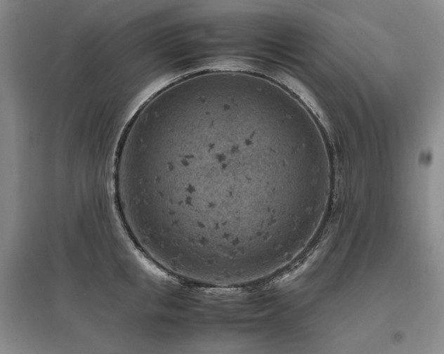 X0000095910853200801111230