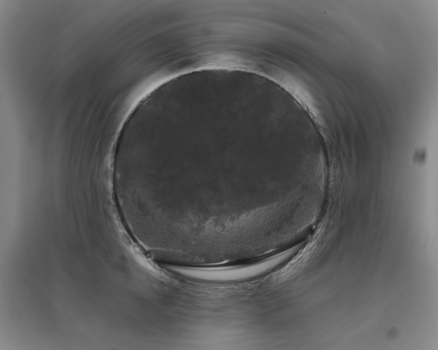 X0000095910854200801111230