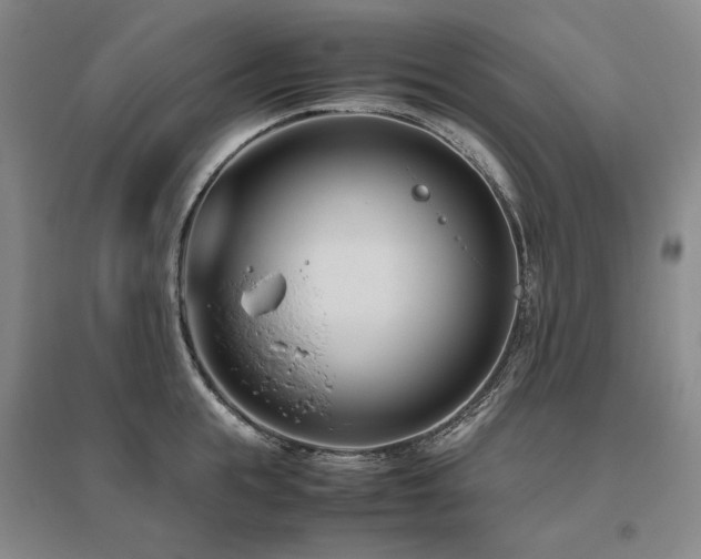 X0000095910855200801111230