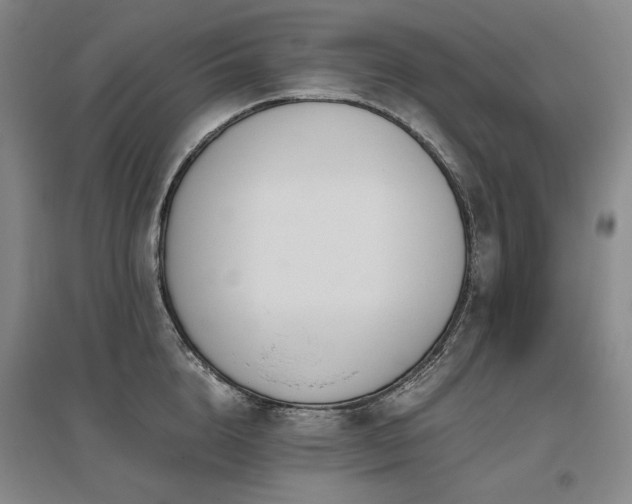 X0000095910856200801111230