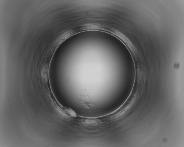 X0000095910857200801111230