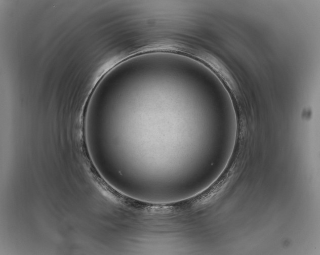 X0000095910858200801111230