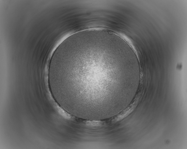 X0000095910859200801111230