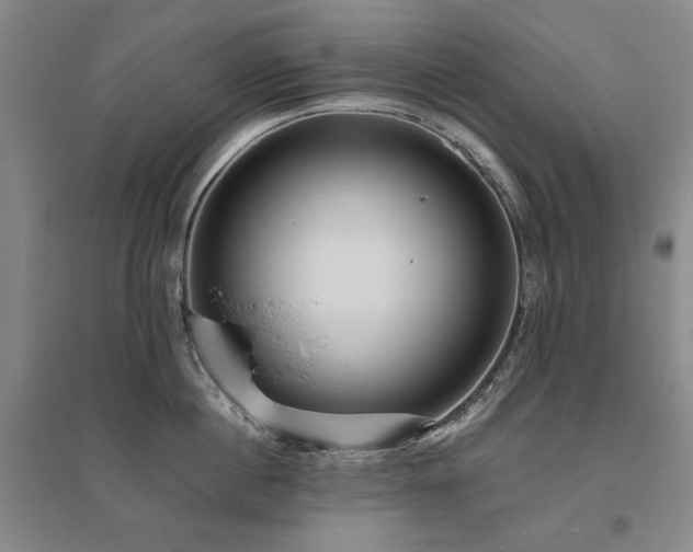 X0000095910860200801111230