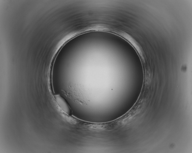 X0000095910861200801111230