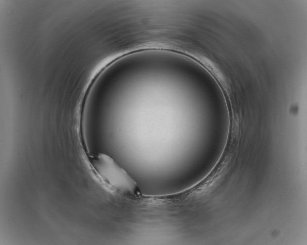 X0000095910862200801111230