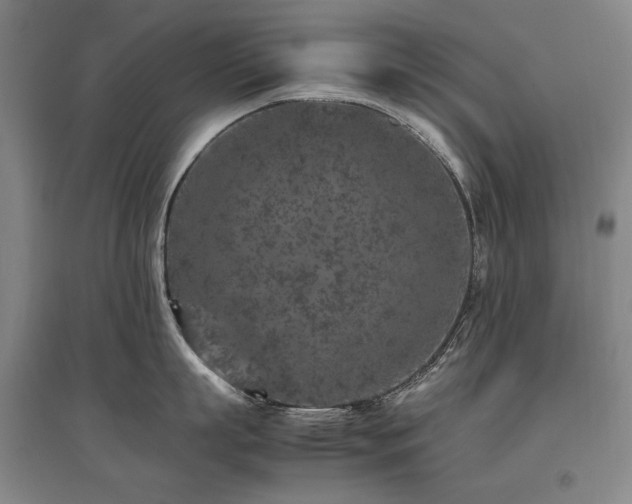 X0000095910863200801111230