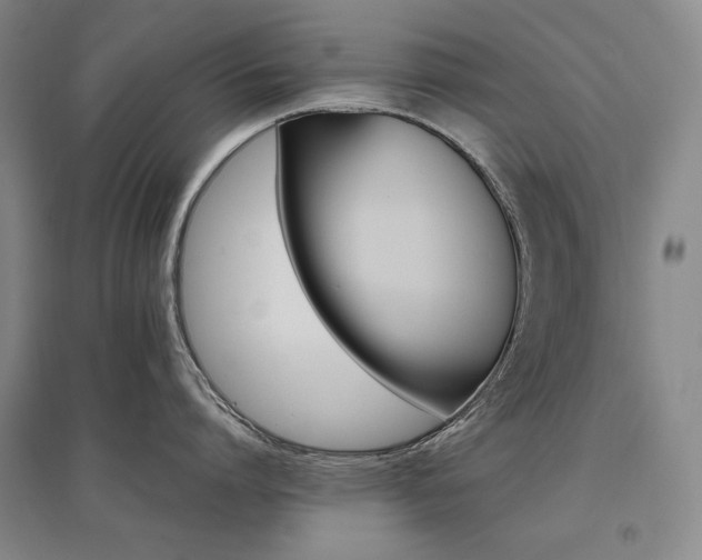 X0000095910864200801111230