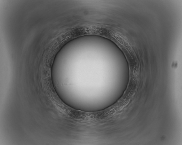 X0000095910865200801111230