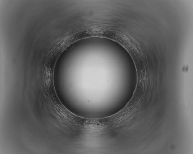 X0000095910866200801111230