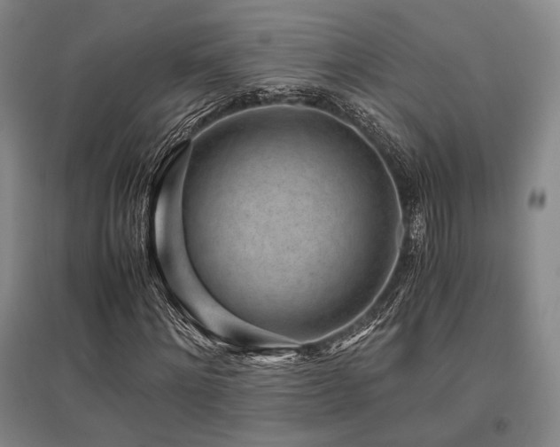 X0000095910868200801111230