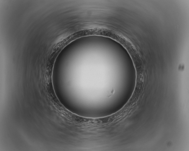 X0000095910869200801111230