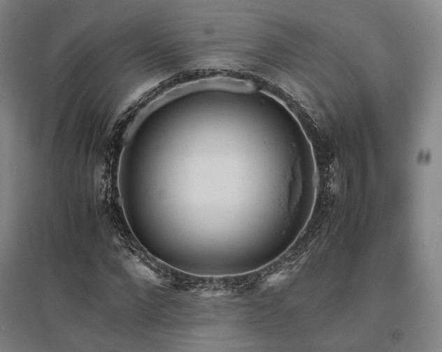 X0000095910872200801111230