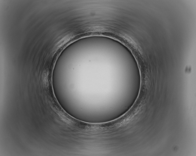 X0000095910873200801111230