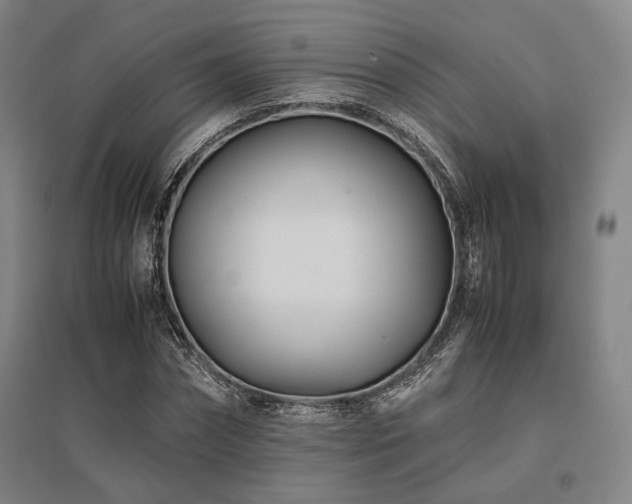 X0000095910874200801111230
