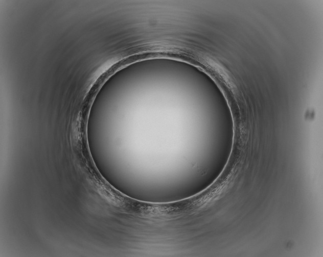 X0000095910875200801111230