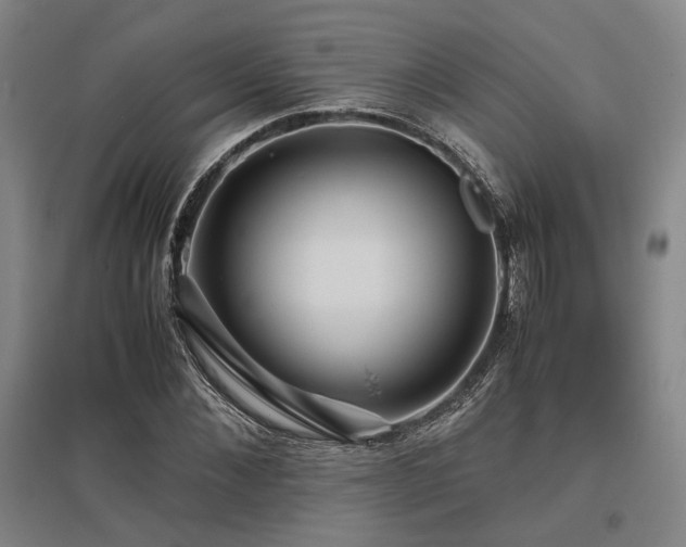 X0000095910876200801111230
