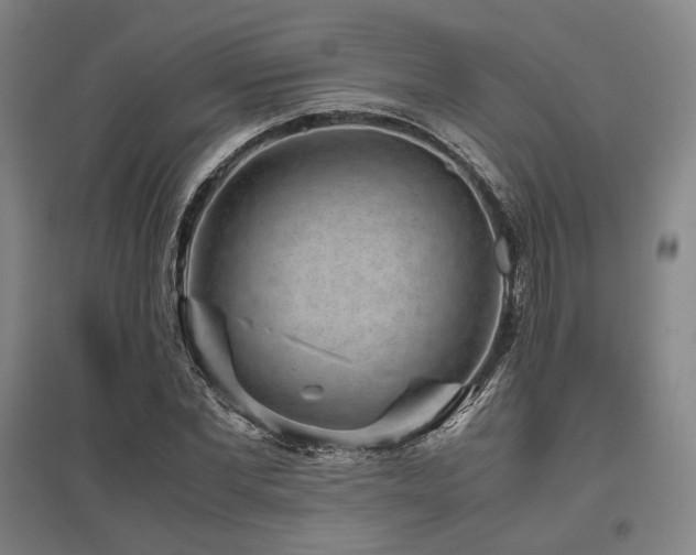 X0000095910877200801111230