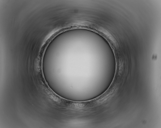 X0000095910878200801111230