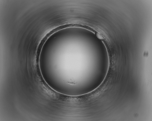 X0000095910880200801111230