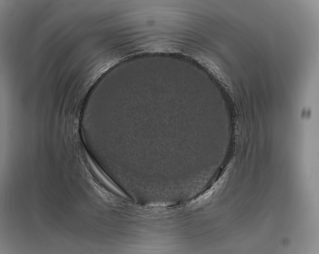 X0000095910881200801111230