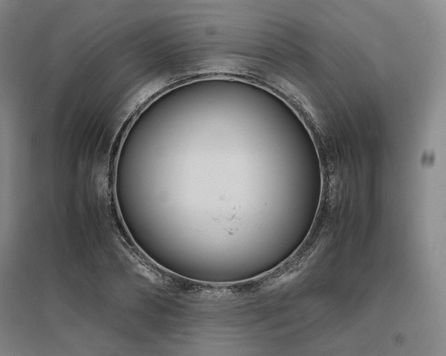 X0000095910882200801111230