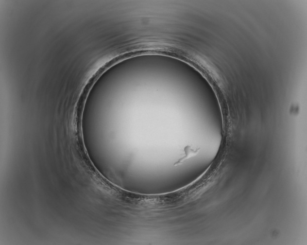 X0000095910883200801111230