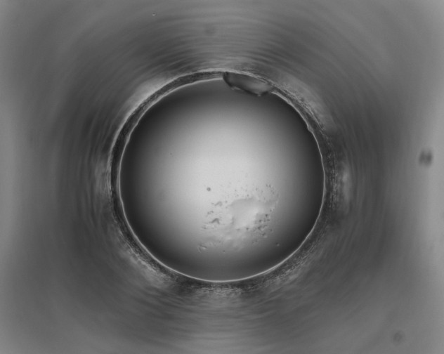 X0000095910884200801111230