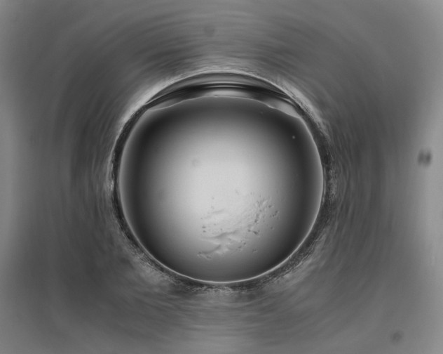 X0000095910885200801111230