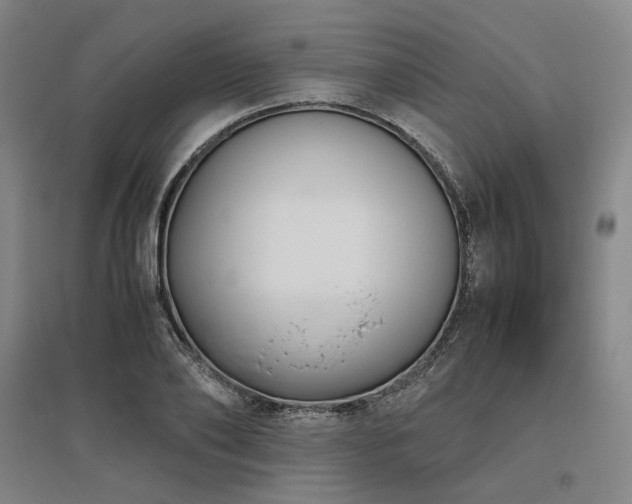 X0000095910886200801111230