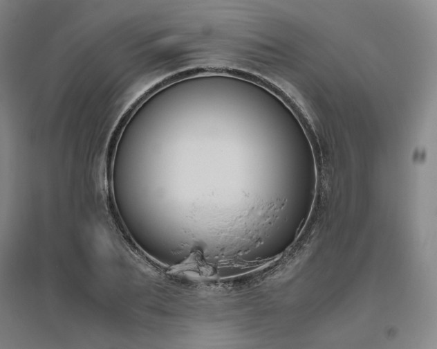 X0000095910887200801111230