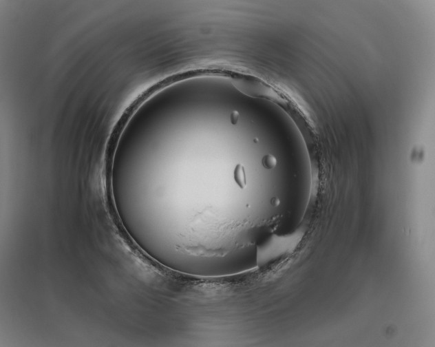 X0000095910888200801111229