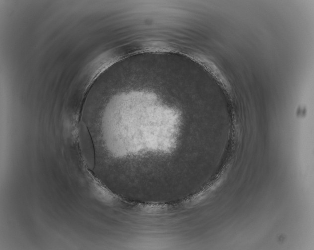 X0000095910889200801111229