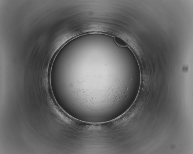 X0000095910890200801111229