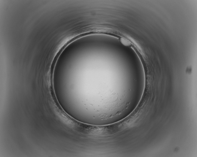 X0000095910891200801111229