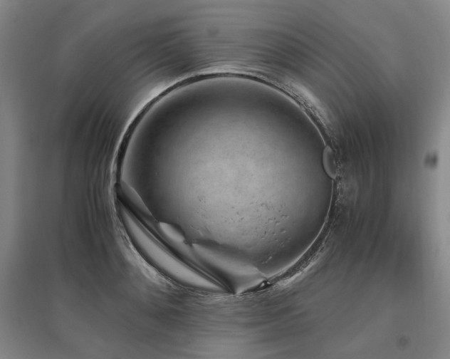 X0000095910892200801111229