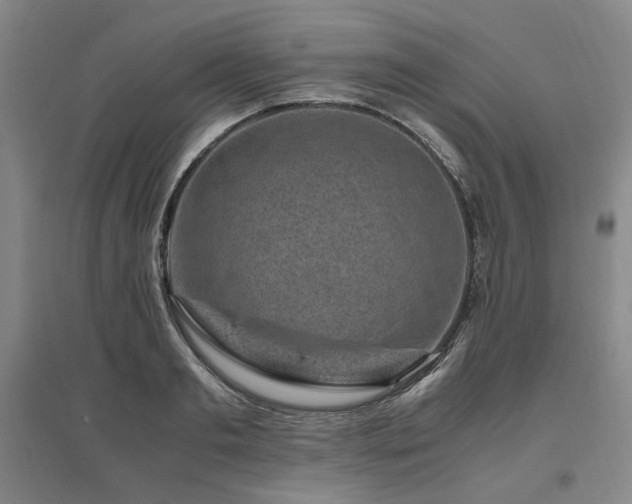 X0000095910893200801111229
