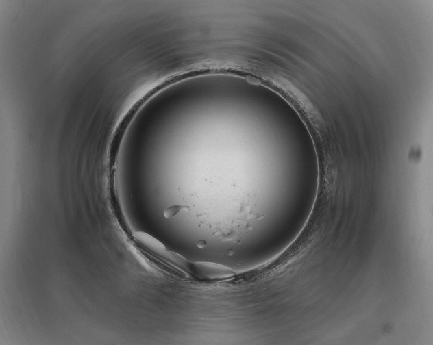 X0000095910894200801111229