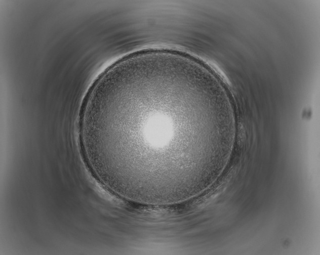 X0000095910895200801111229