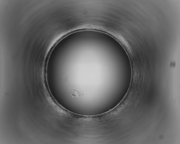 X0000095910896200801111229